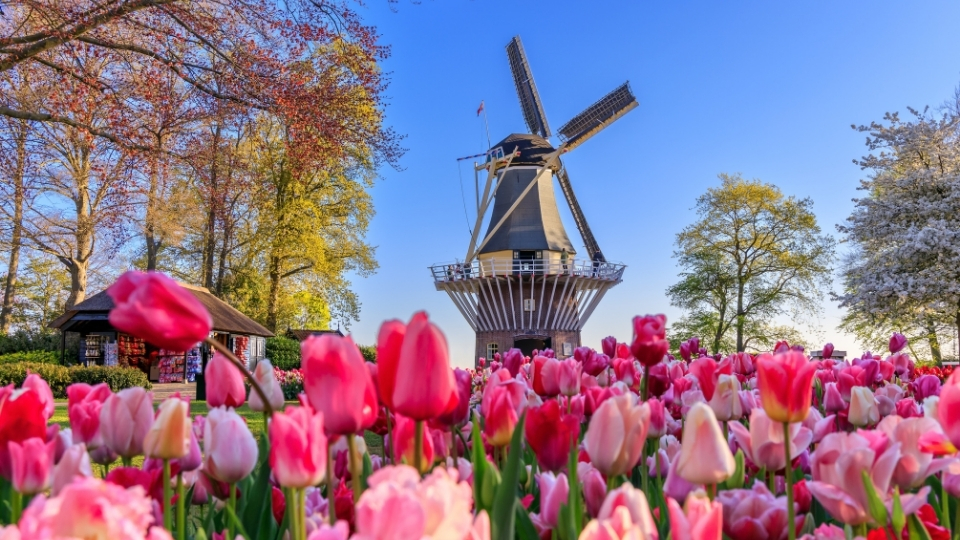 hollanda-vize-danismanlik